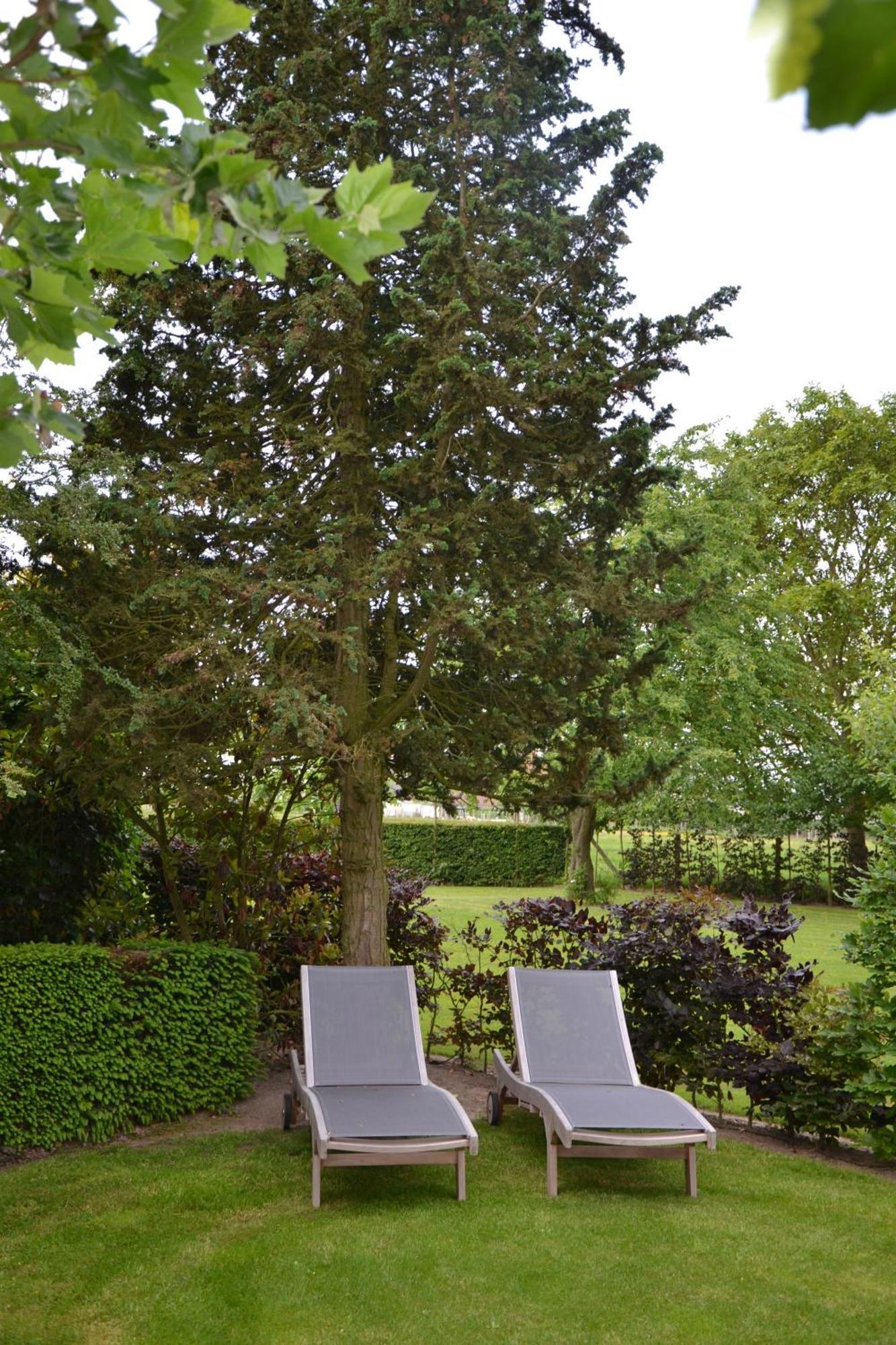 B&B Hof Te Spieringen Vollezele Экстерьер фото