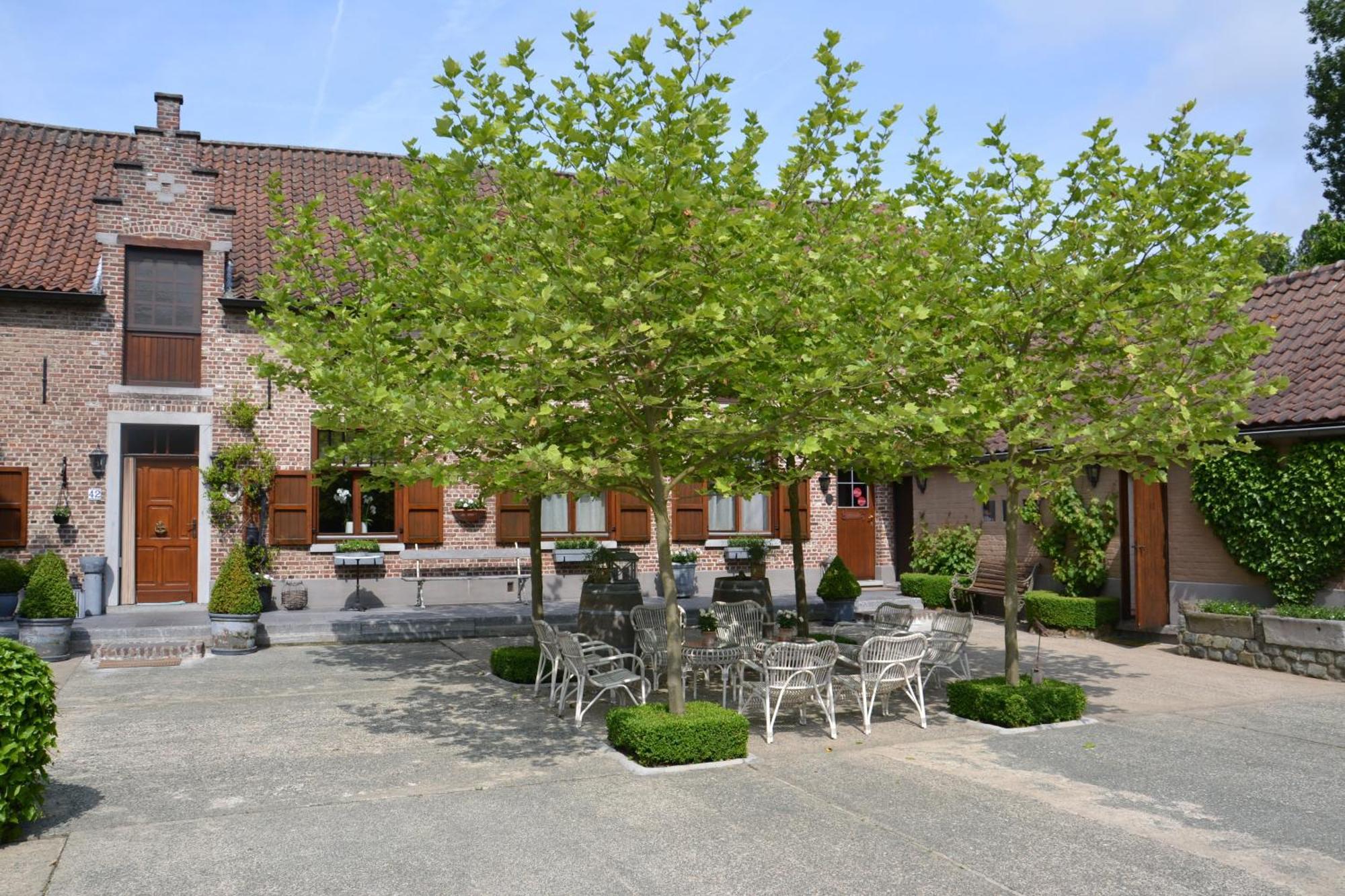 B&B Hof Te Spieringen Vollezele Экстерьер фото