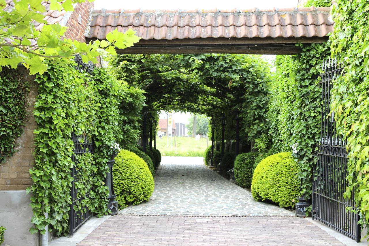 B&B Hof Te Spieringen Vollezele Экстерьер фото